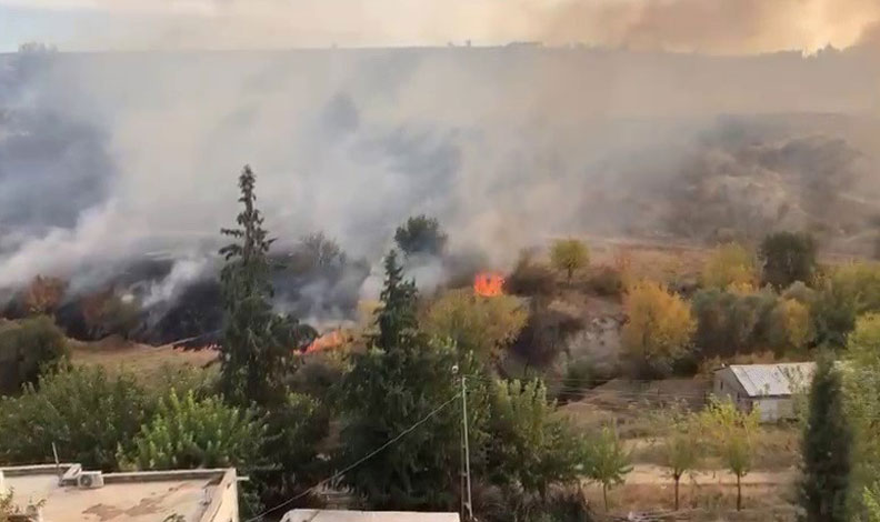 Anız yangını bahçelere sıçradı