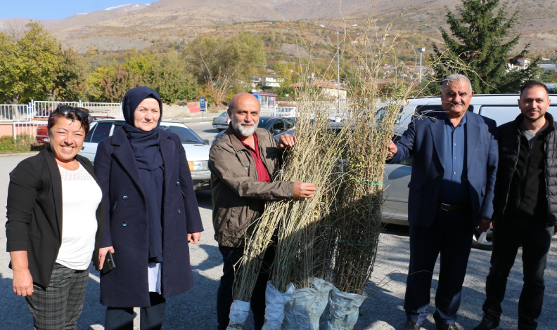 Goji berry yetiştiriciliği başladı