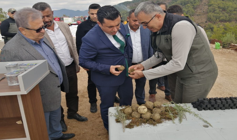 Karbon zengini tohumlar toprakla buluşturuldu