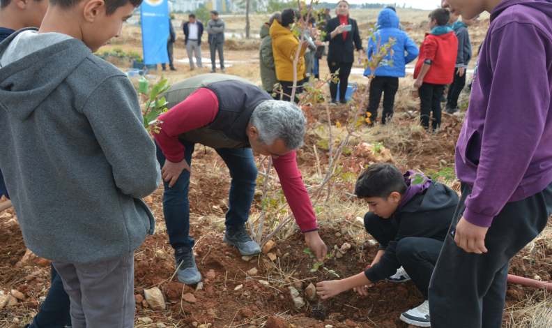 Öğretmenler Günü için 300 fidan
