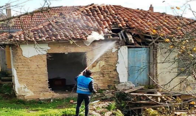 Kokarcaya karşı savaş