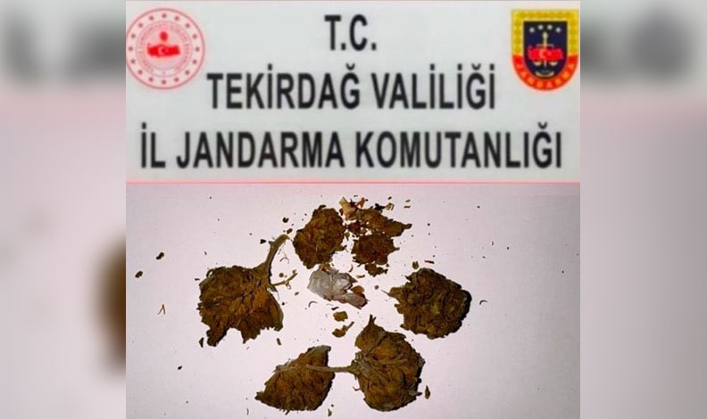 Tekirdağ’da uyuşturucu operasyonları: 3 ayrı olayda bonzai, esrar ve metamfetamin ele geçirildi